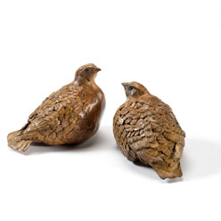 Sitting_Grouse