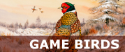 game_birds