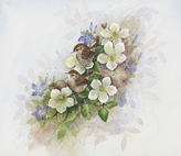 Wrens