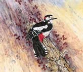 Great_Spotted_Woodpecker